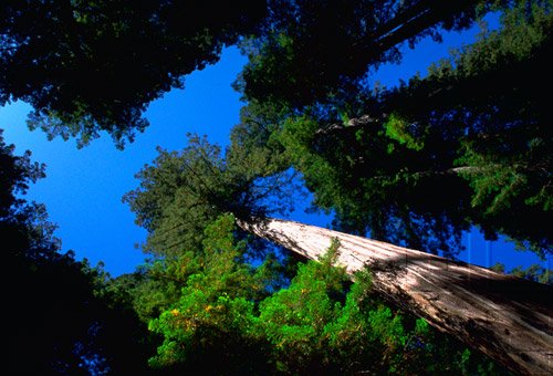 Philosophy - Philosophy Of Mathematics & Philosophy Of Nature