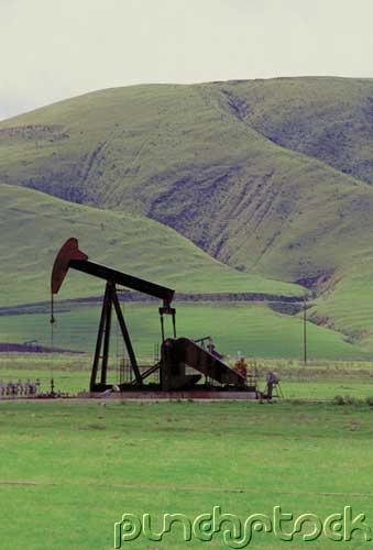Environmental Law - Energy & Natural Resources