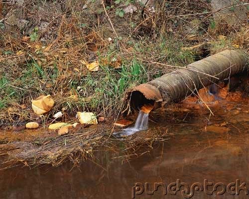 Environmental Law - Controlling Toxic Substances