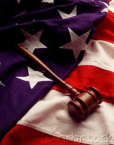 Environmental Law - The American Legal System