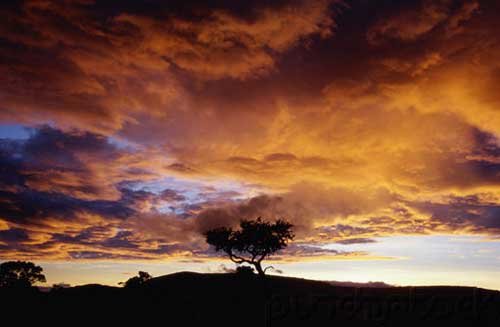 The Fate Of Africa - A History Of 50 Years Of Independence - II