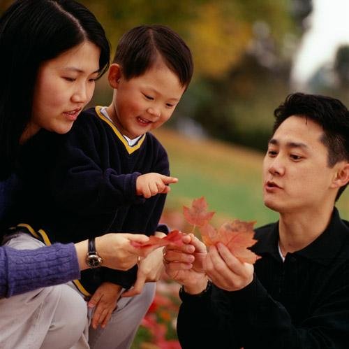 Group Psychotherapy - Training The Group Therapist