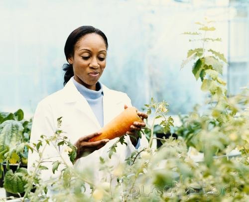 The Contribution Of Black Women To America - Sciences