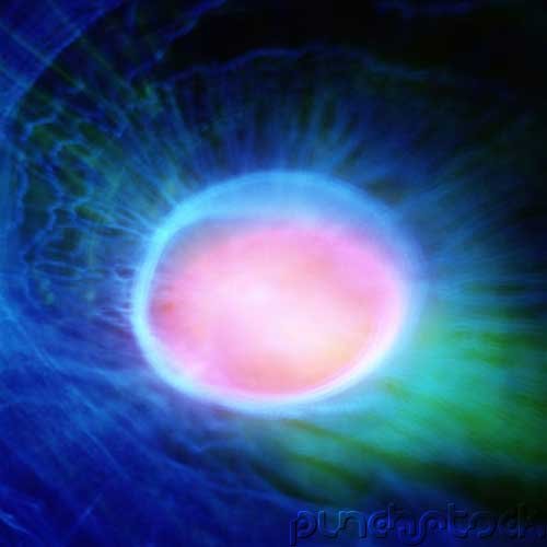 The Nature Of Life - How Animals Survive - Nerve Cells-Behavior