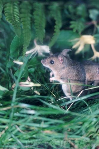 The Nature Of Life - How Animals Survive - Excretion-Water-Salt