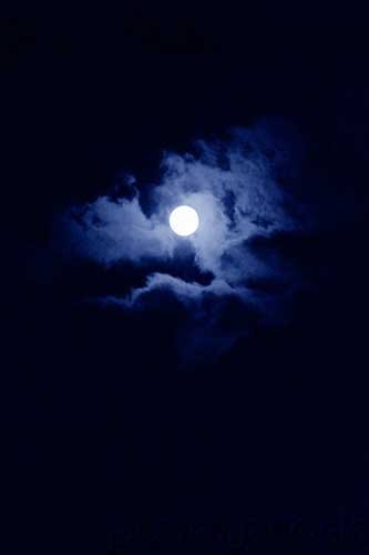 Physical Science - The Moon