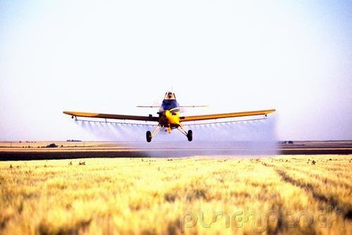 Environmental Management - Pesticides & Toxic Substances