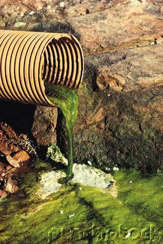 Environmental Management - Concepts & Principles Of Ecology