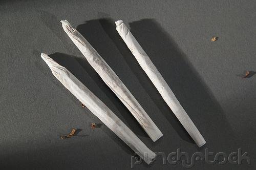 Cannabis & Cognitive Functioning - Cannabis The Drug