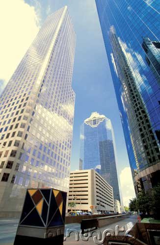 Chicago & Suburban Cook County - Forms Of Local Government