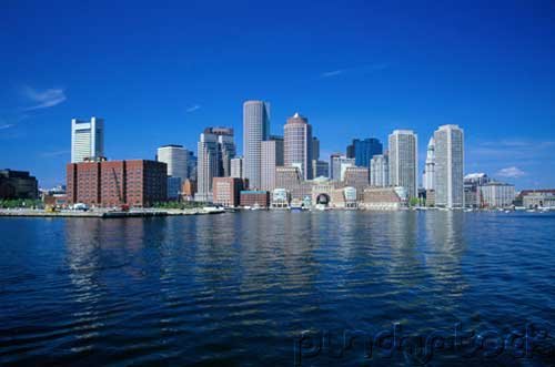 Chicago & Suburban Cook County - Services