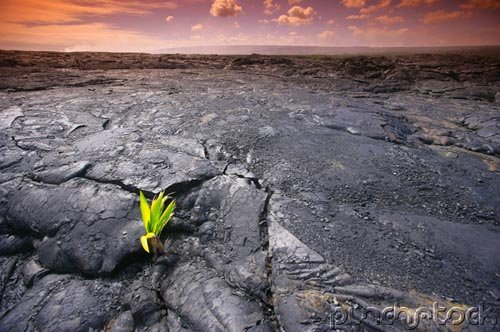 The Prehistoric Past - Life's Beginnings - 545-4000 Mil Yrs Ago