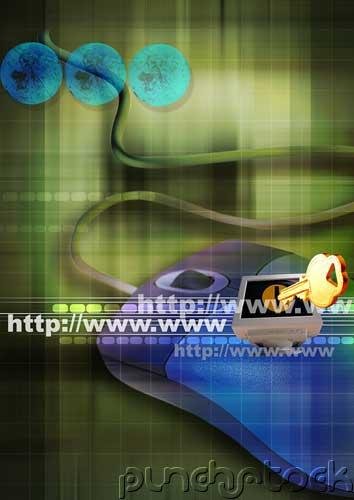 Management Information Systems - Information Systems Application