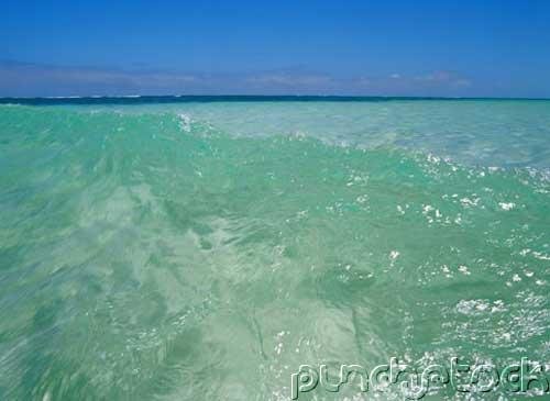 The Planet Earth - The Ocean - Part III