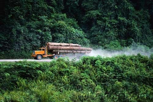 Jungles - An Exploration Of The Most Mysterious Of All Natural Worlds - Products Of The Jungle