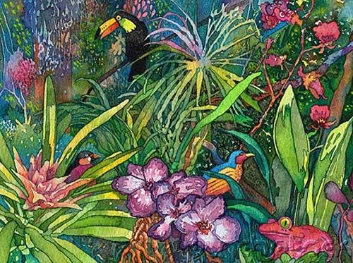 Jungles - An Exploration Of The Most Mysterious Of All Natural Worlds - The Birds Of The Jungle