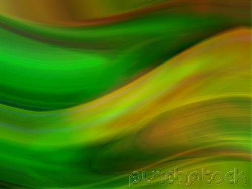Energy & The Living Cell - The Flow Of Energy