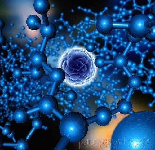 The Plant Cell - The Molecular Composition Of Cells