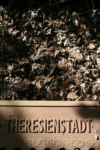 The History Of The Holocaust - Rescue