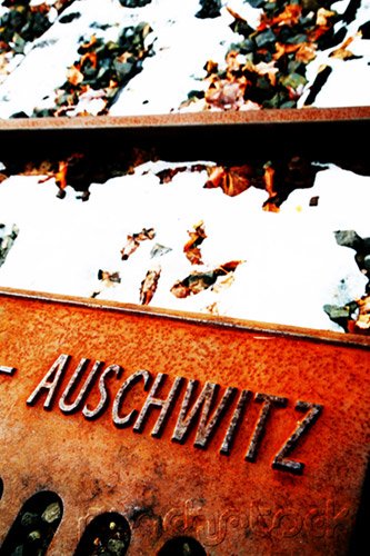 The History Of The Holocaust - Resistance