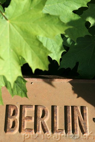 The History Of The Holocaust - The Weimar Republic
