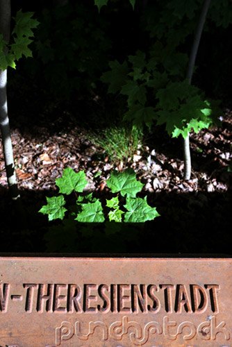 The History Of The Holocaust: World War I & Its Aftermath