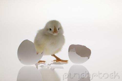 Growth & Reproduction