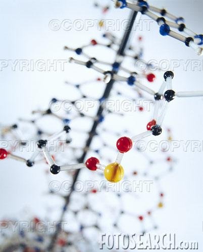 Biology Of Individual Organisms - The Regulation Of Body Temperature