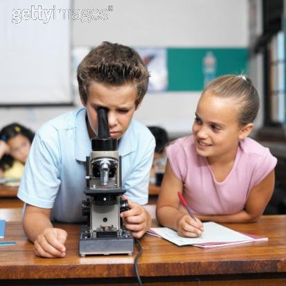 Biology Of Individual Organisms - Respiration & Gas Exchange