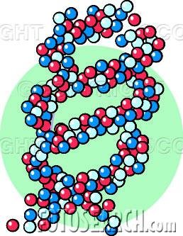 Biology Of Individual Organisms - Energy & Waste Control For The Whole Organism