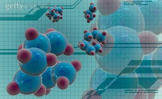 Biology Of Individual Organisms - Cellular Structure & Function