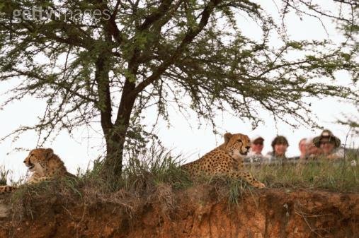 Life At The Community Level - Relationships Between Species