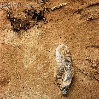 The Earth As A Biosphere - Environmental Degradation & Pollution