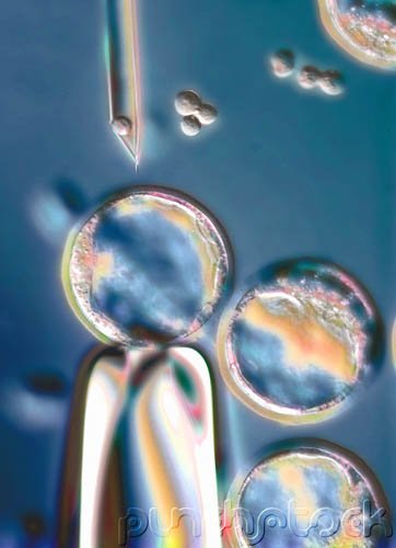 Biology & Prosocial Behavior