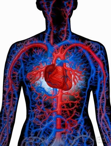 Assessment & Management Of Clinical Problems - Problems Of Oxygenation - Cardiovascular System