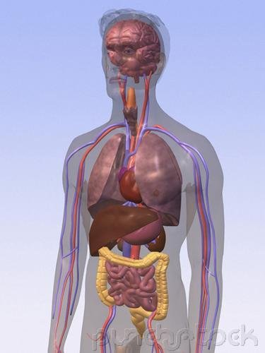 Assessment & Management Of Clinical Problems - Inflammatory & Valvular Heart Disease