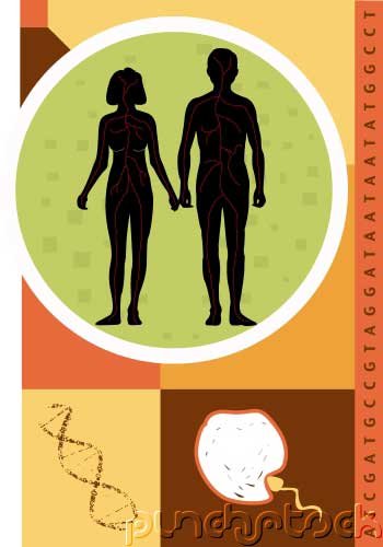 Assessment & Management Of Clinical Problems - Reproductive System