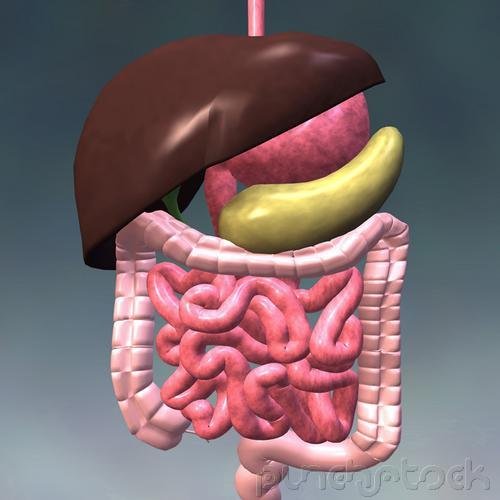 Assessment & Management Of Clinical Problems - Upper Gastrointestinal Problems