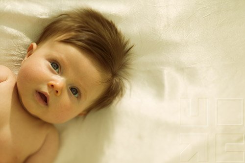 Child With Alterations In Genitourinary Function IV