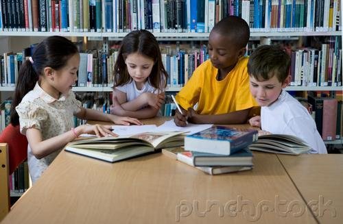 Handicapped Conditions & The Library's Respones
