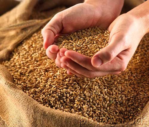 Speculative Investment Vehicles - Commodities & Financial Futures