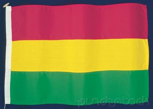 Bolivia History - From The Early History Of Bolivia To Twentieth Century Bolivia