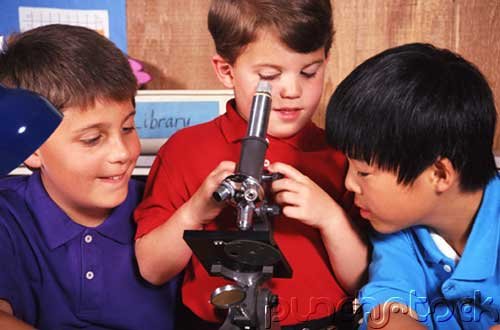Getting Started In Homeschooling - Homeschooling With A School Or Group