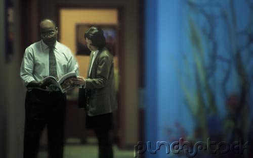 African American Studies - Theoretical Foundations