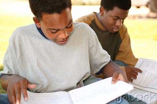 Africam American Studies - Philosophical Perspectives