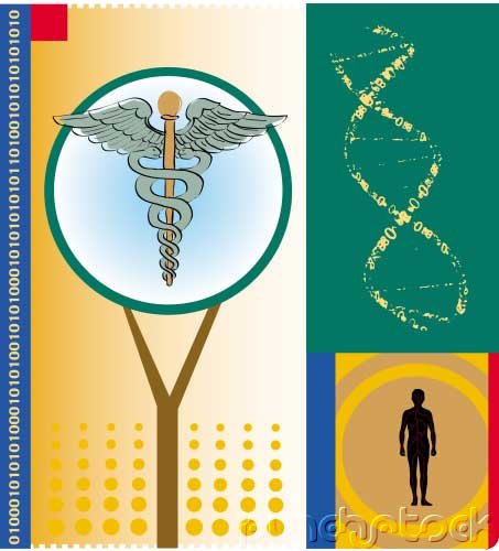 African American First In Science & Technology - Allied Health