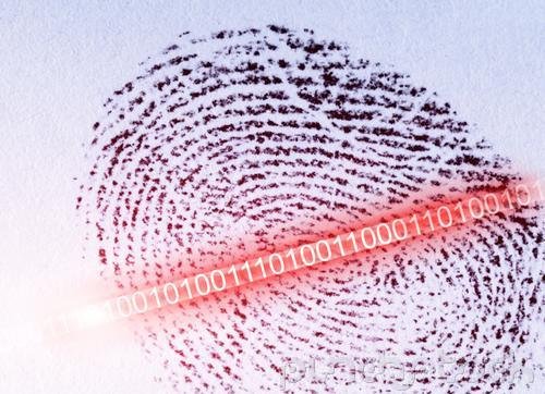 Curriculum Design & Instruction To Teach Crime Scene Investigation