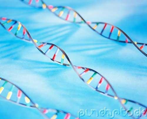 Curriculum Design & Instruction To Teach Science - Classical & Modern Genetics