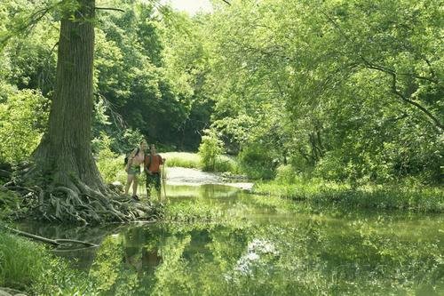 Curriculum Design & Instruction To Teach Science - Ecology - Ecosystems & The Environment