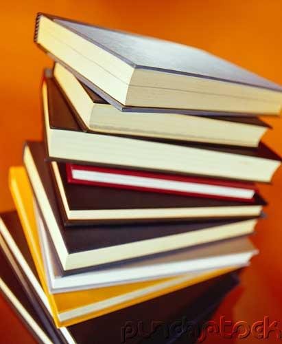 College Management - Administrative Areas - Articulation & Transfer
